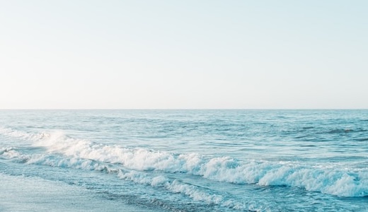 レッドジョーカー先輩：年齢と身長に本名！高校はどこ？